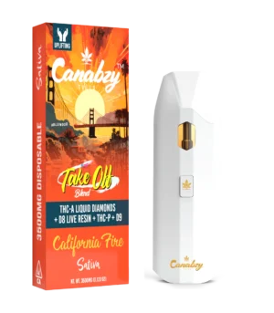 california_fire.webp